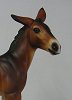 Carolyn Boydston Mule foal