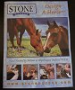 Stone Design-a-Horse