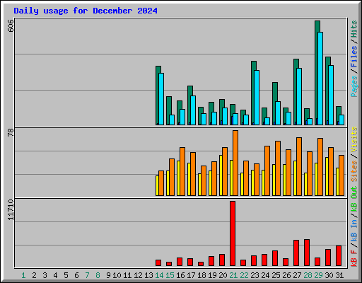 Daily usage for December 2024