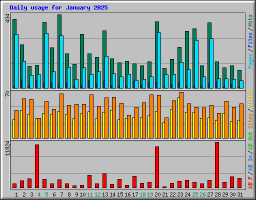 Daily usage for January 2025