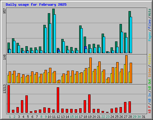 Daily usage for February 2025