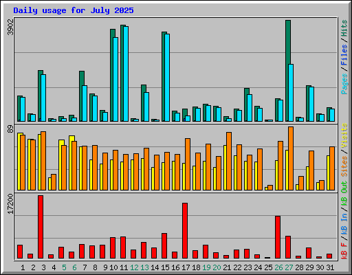 Daily usage for July 2025