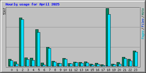 Hourly usage for April 2025