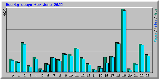Hourly usage for June 2025