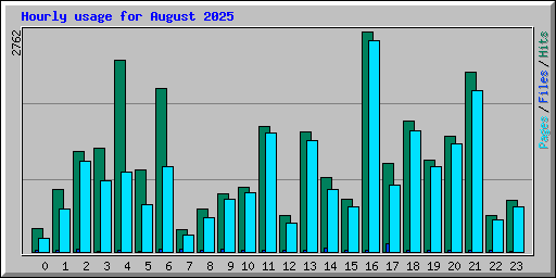 Hourly usage for August 2025